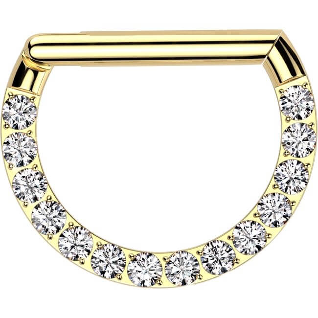 Titanio Anello Piercing Zirconi Segment