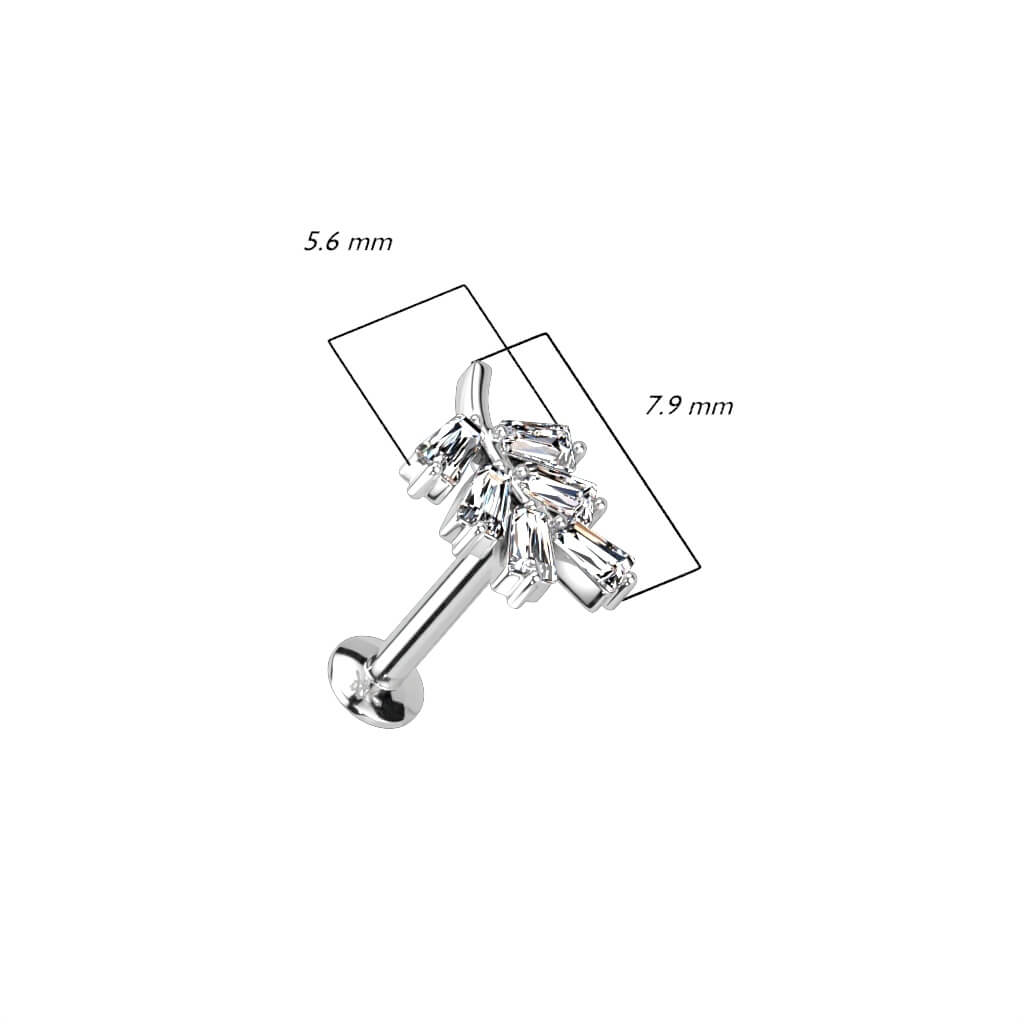 Labret Foglie di zirconi Push-In