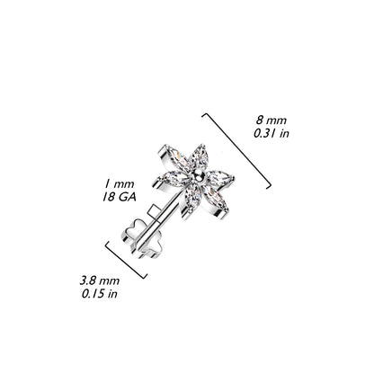 Titane Labret Fleur Zircone Enfoncer