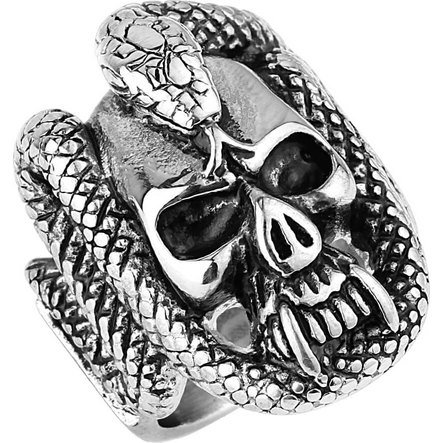 Calavera y serpiente de plata