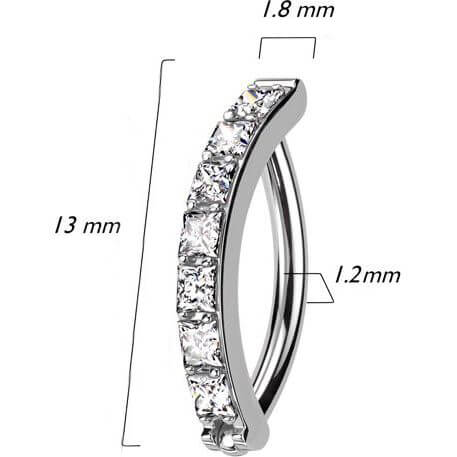 Titan Ring Zirkonia Pavefassung Clicker