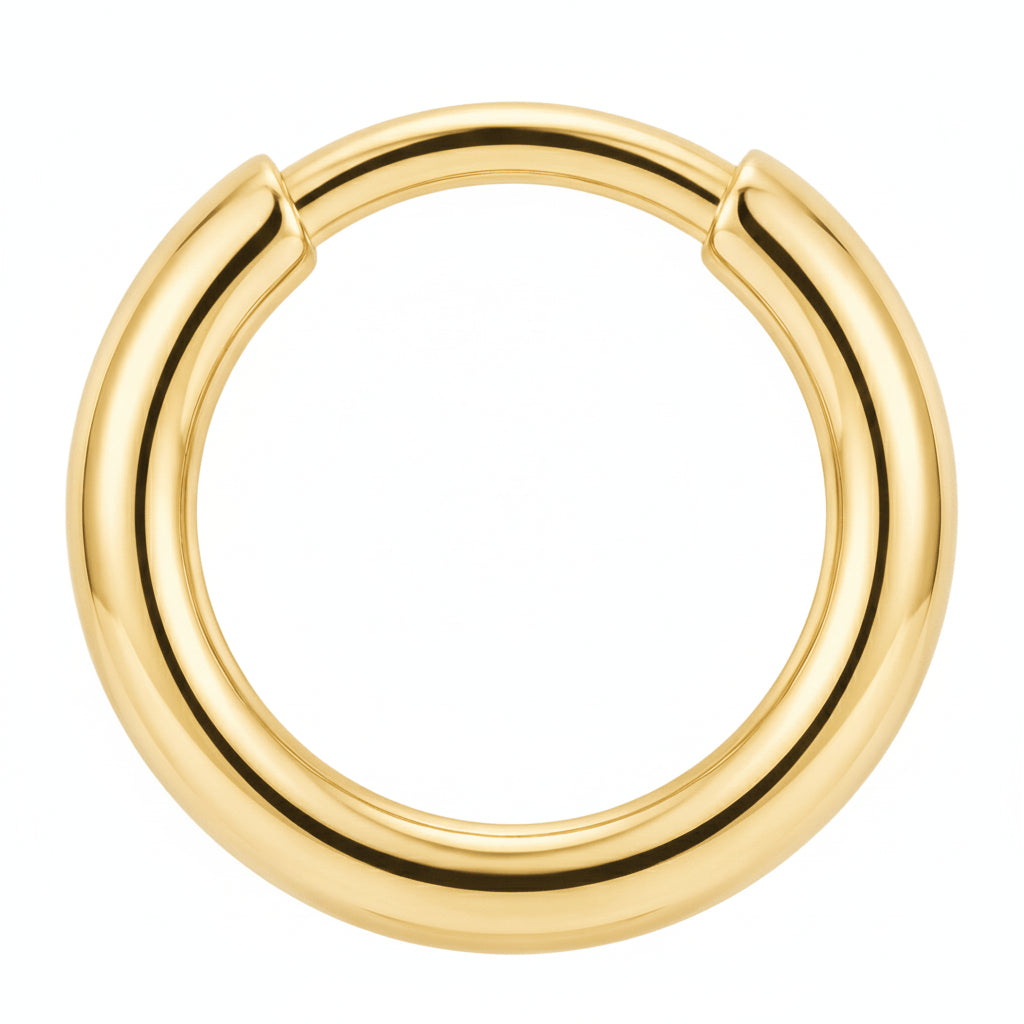 Titanium Earring Round Circle Shape Design Clicker
