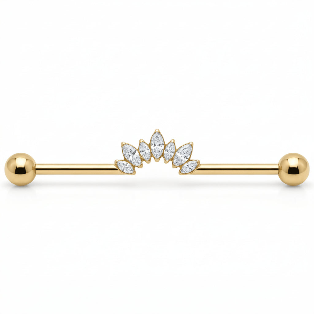 Titanium Industrial Barbell Marquise Crystal Fan Internally Threaded