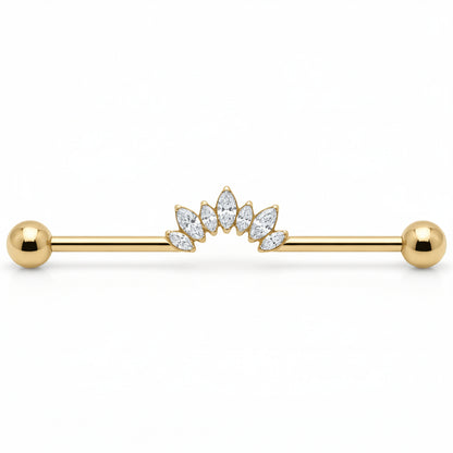 Titanium Industrial Barbell Marquise Crystal Fan Internally Threaded