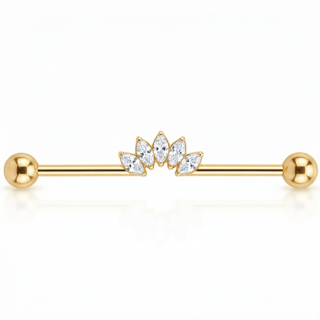 Titanium Industrial Barbell Marquise Crystal Fan Internally Threaded