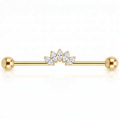 Titanium Industrial Barbell Marquise Crystal Fan Internally Threaded