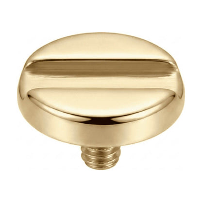 Titanium Top Slotted Screw Head Internally Threaded